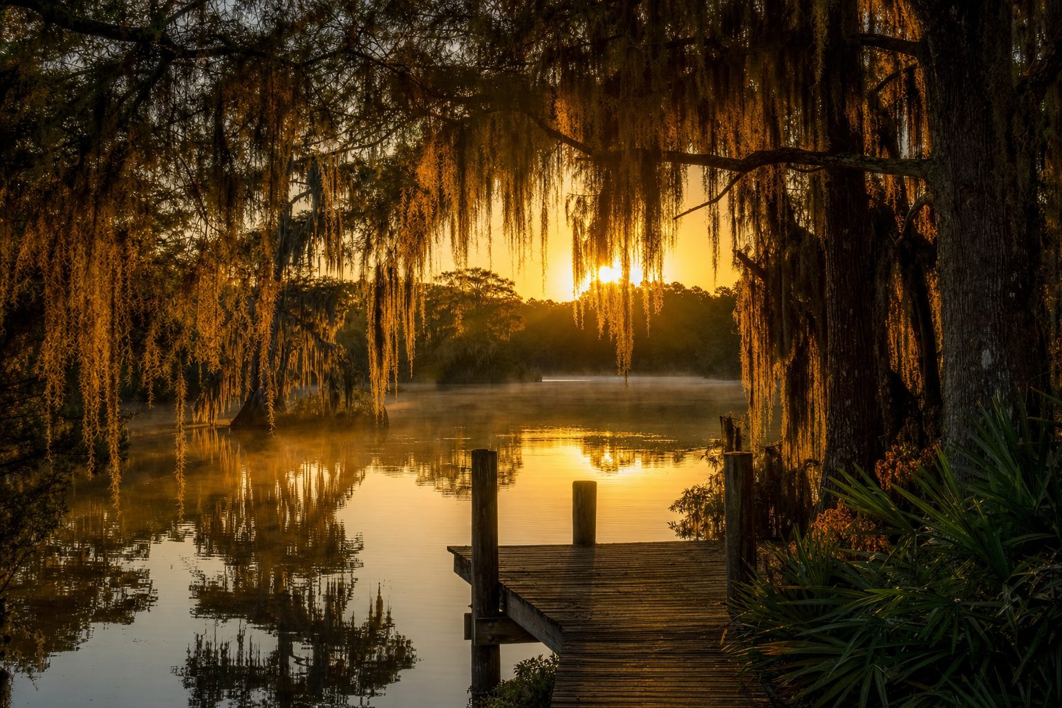 A calm Louisiana bayou at golden hour, symbolizing a peaceful path toward healing